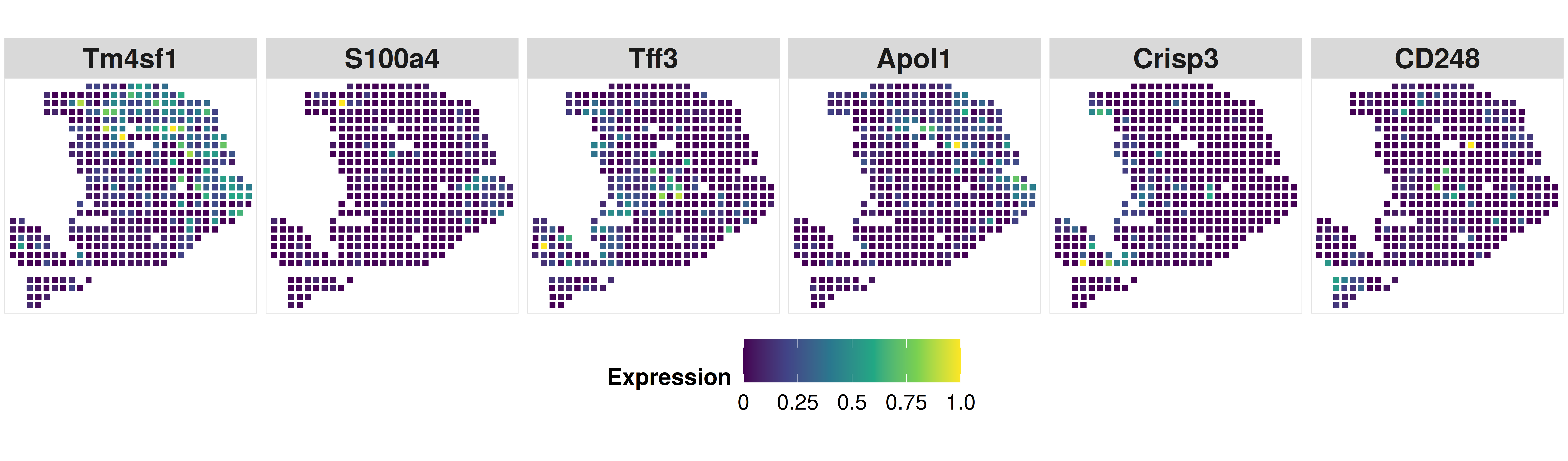 Example_grid_Gene